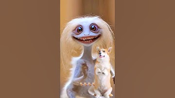 Super Dog and Monkey Dance 🐶🙊 #dogdance #monkey