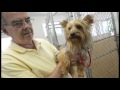 Dogs headed for Texas kill shelter rescued in Watertown, NY