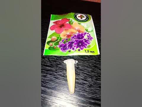 🌷🌺🥀Паста (цитокининовая) для размножения орхидей - YouTube
