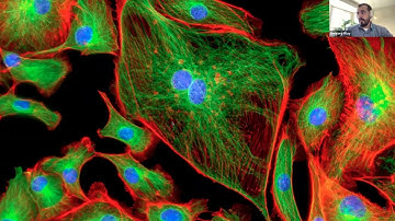 Learning Biology From Microscopic Images of Cells