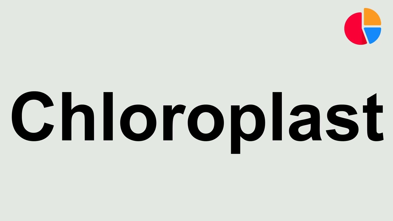 How To Pronounce Chloroplast YouTube How To Pronounce Chloroplast YouTube