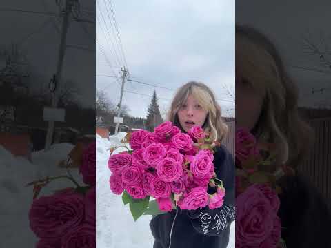С 8 марта #youtubeshorts #tiktok #глобальныерекомендации #8марта #праздник #подарок #цветы #розы #🎀