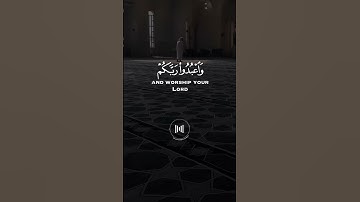 يايها الذينء آمنوا اركعو واسجدوا ||سورة الحج#عبدالرحمن_مسعد#اكسبلور #quran #islam #explore