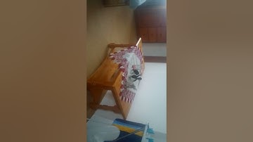 Xbox 360 Kinect SPORTS javelin records