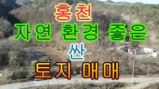 홍천 자연 환경 좋은 싼 토지 매매 1950제곱 590평 8850만