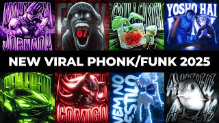 NEW VIRAL FUNK/PHONK 2025 | BRAZILIAN PHONK | PHONK MUSIC 2025