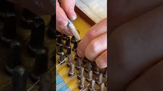 Famous Tuning pin replacement Wealth