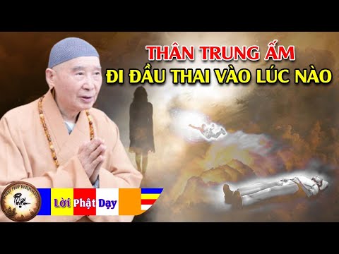 Sau khi chết thân TRUNG ẤM đi đầu thai vào lúc nào? Pháp Sư Tịnh Không | Phật Pháp Nhiệm Màu