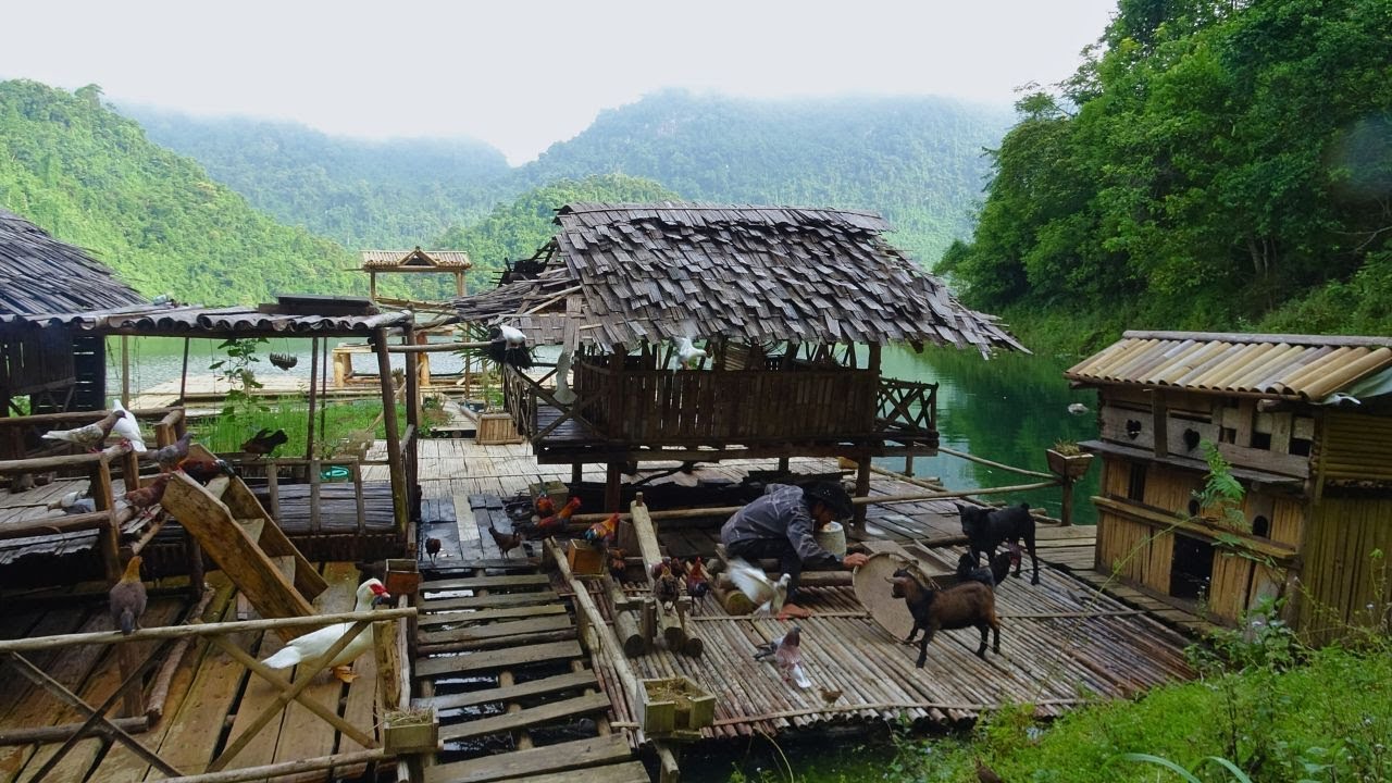 A day taking care of pets on a floating island. Going into the forest to collect herbs.