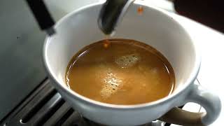 H13 HiBREW