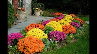Как Оформить Красивый Цветник на Даче? - 2018 / Beautiful Flower Garden on a Summerhouse