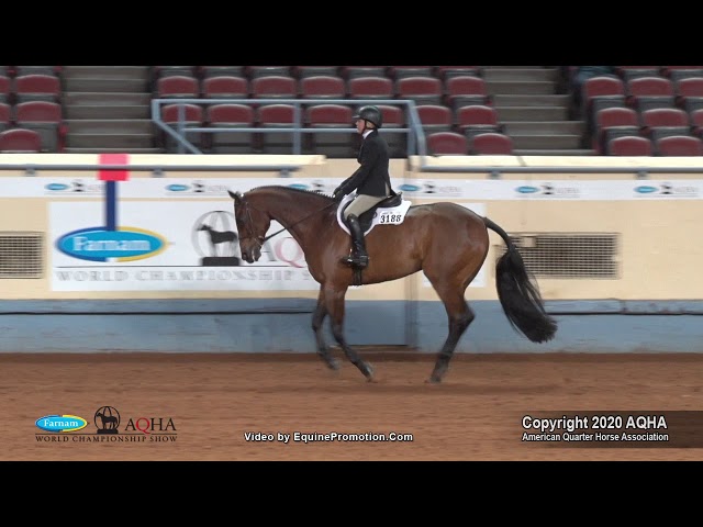 English Pleasure Aqha