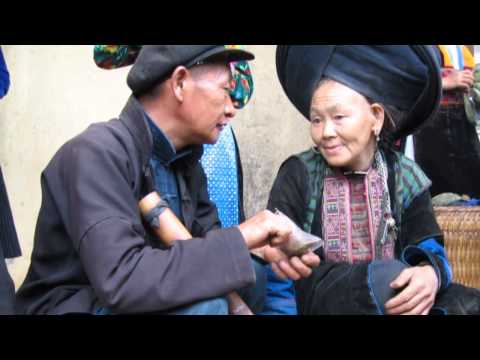 Hành trình Tết 2013