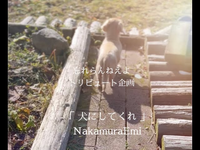 犬にしてくれ忘れらんねえよ