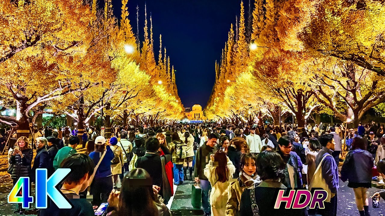 Meiji-jingumae, Autumn leaves (November), a frame from the walk