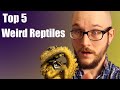 Top 5 Weirdest Reptiles In The World