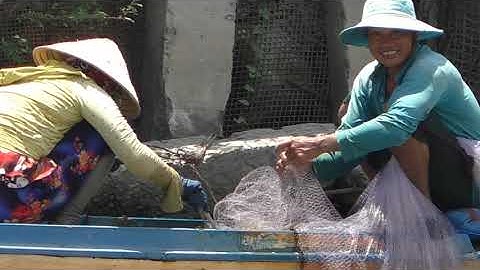 Anh chị chài cá ở bến đá , Gởi cá mỏi tay , Dính cá lăng cá chốt