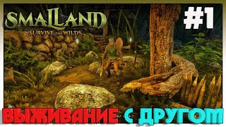 Smalland: Survive the Wilds ВЫЖИВАНИЕ С ДРУГОМ #1