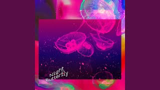 Night Butterfly