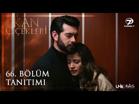 Kan Çiçekleri 66.