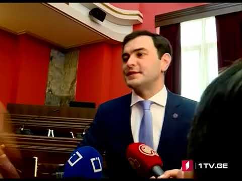 ვანო ზარდიაშვილი - არასამთავრობოებს სხვადასხვა სახელი ჰქვიათ, მაგრამ ...