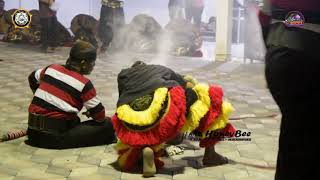 #rogosamboyoputro #rampokan Rampak Singo Barong Rogo Samboyo Putro, live Ngadiluwih, Solah trlengkap