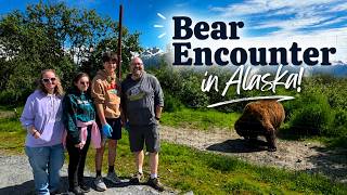 Bear Encounter in Alaska! Anchorage Day Trip Activities | AKWCC, Hiking, Whittier & More!