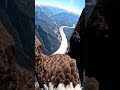 One Wrong Move It’s Over #shorts #shortsfeed #shortvideo