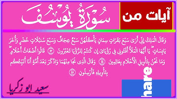 ايات بينات من سورة يوسف 🥰🌺#قران_كريم #المصحف #quran #سورة_يوسف @قراننت-تلاواتمختارة @QuranMaroc 