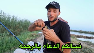 رحله صيد البلطي الحشوم من شخلوبه كفر الشيخ اتمتع معانا