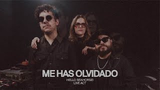 HELLO SEAHORSE! - ME HAS OLVIDADO (LIVE SESSION)