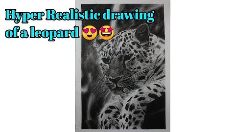 Hyper realistic drawing of a leopard 😍
