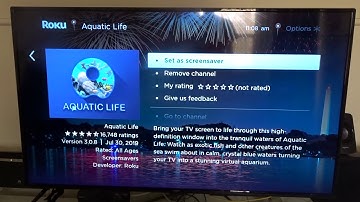 how to change Roku theme and screensaver