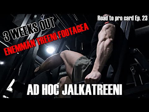 Video: Hur beräknas Gtpal?