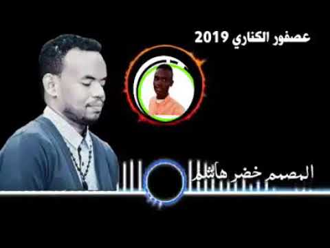 جديد الفنان منتصر هلاليه عصفور الكناري