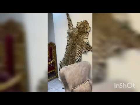 اخبار عقارات حلب
