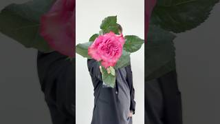 Как Вам Такое Сочетание? Изменили Цвет Упаковки По Сравнению С Прошлым Букетом