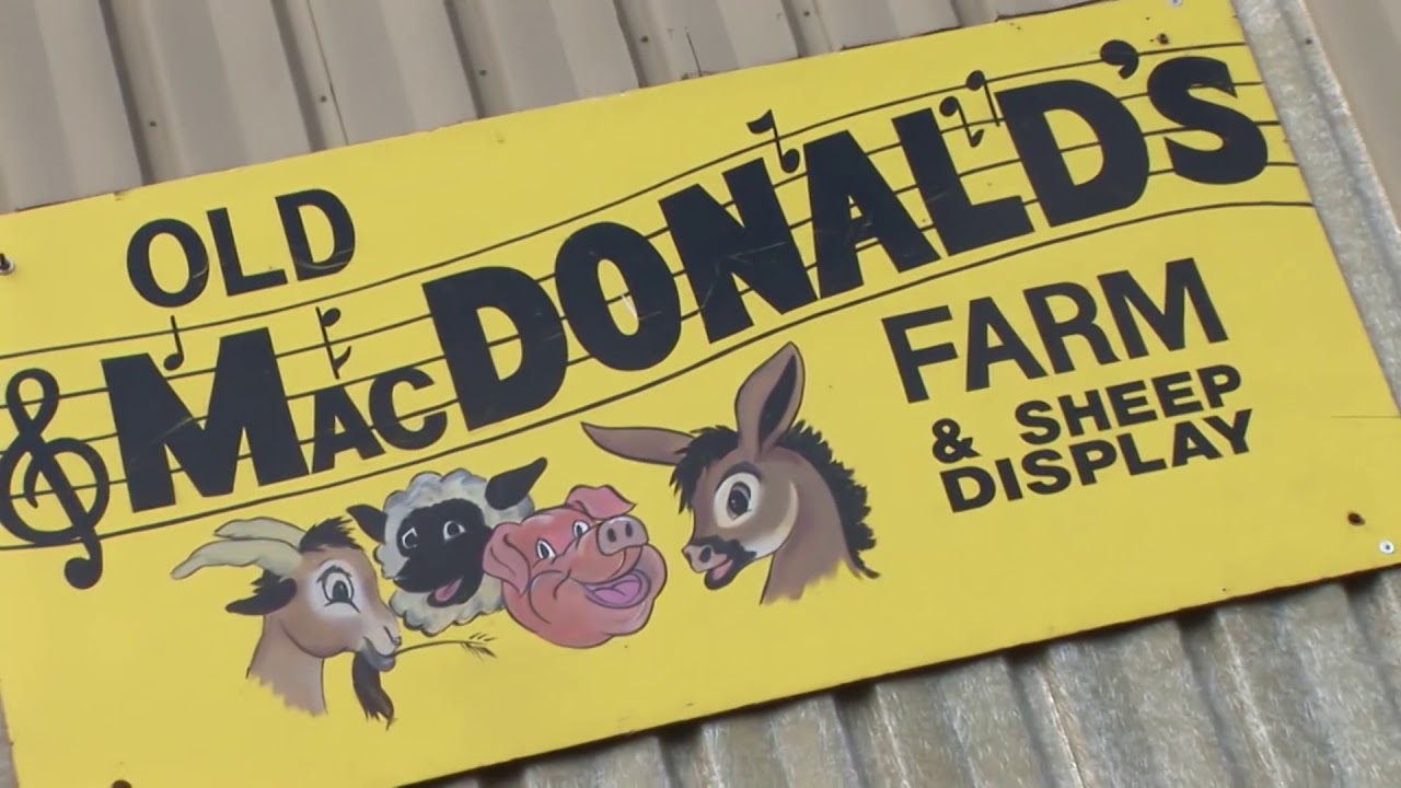 Markham Fair 2017 YouTube