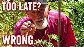 The Great Too Late To Plant Lie, Your July Garden Starts Now