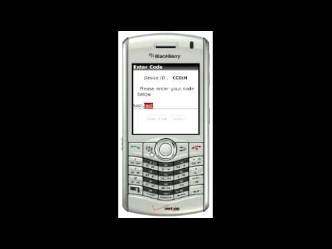 How to enter a code in SnappySeeker for Blackberry