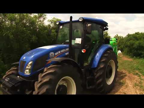 ფაროსანას საწინააღმდეგოდ სიმინდის საყანე ფართობები მუშავდება