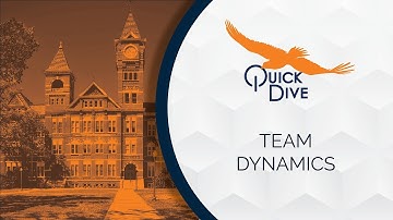 Team Dynamics