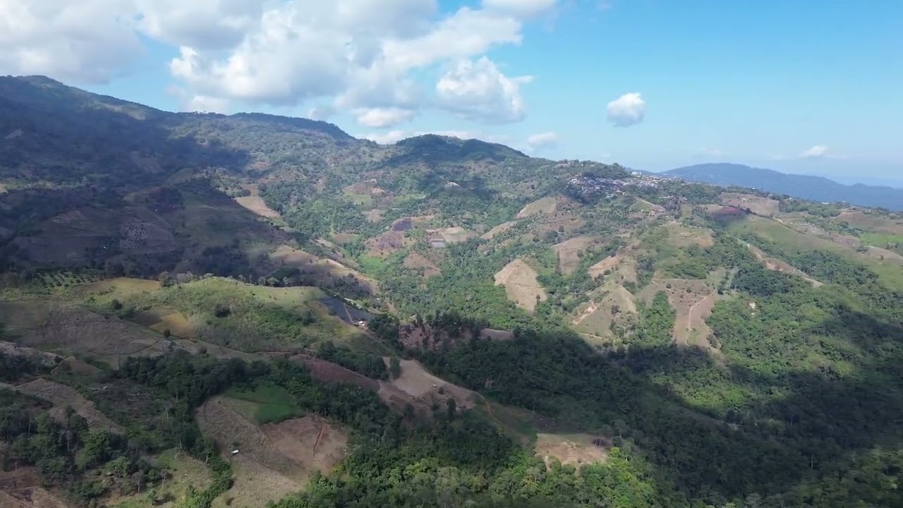 EP 79 ฟ้าพันดาวรีสอร์ทดอยช้าง บ้านห้วยส้านลีซอ ทางขึ้นดอยช้าง ขึ้นทางป่าสน