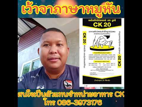 เว้าจาภาษาหมูหัน รับตัวแทนจำหน่ายอาหารวัว ตรา Ck สนใจโทร 086-3973176