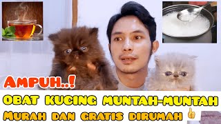 OBAT KUCING MUNTAH MURAH DAN GRATIS DIRUMAH