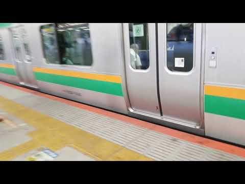 E233系E-71・E231系K-30湘南新宿ライン宇都宮線直通普通宇都宮行