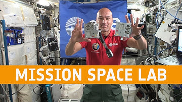 Mission Space Lab 2019-20 finalists webinar with Luca Parmitano