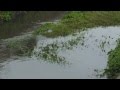 台風4号接近 螢川増水