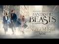 Fantastic beasts and where to find them  final trailer  official warner bros uk