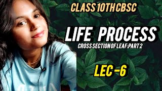 Life process| lec 6| Cross section of leaf| Janhvi Salunke |10th CBSC